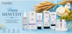 Shavuot Sale
