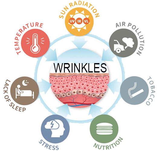 外部因素导致皱纹